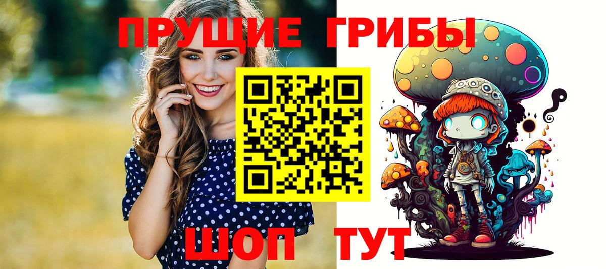 Псилоцибиновые грибы мицелий Курчатов