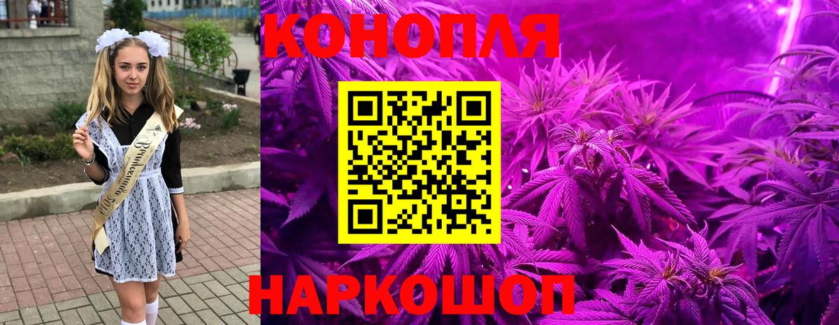 Конопля план Курчатов